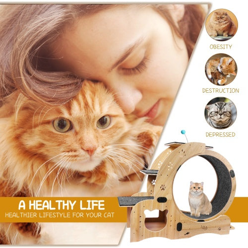 Cat Wheel 6-in-1 Cat Fitness Wheel