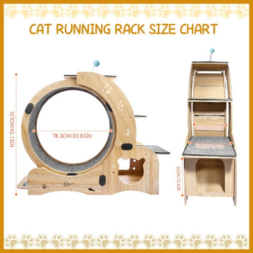 Cat Wheel 6-in-1 Cat Fitness Wheel